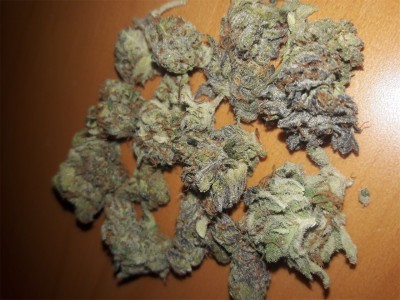 Buy Bordello Kush Marijuana Strain Online